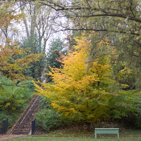 Un banc d'automne. Parc de Bercy